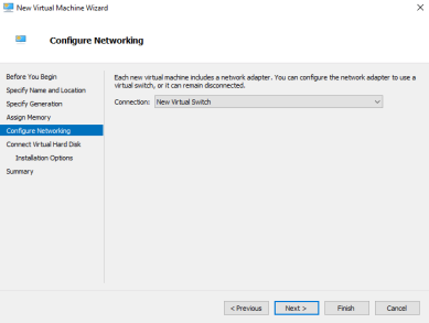 VM Wizard showing the Connection drop-down with New Virtual Switch highlighted. 